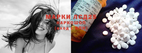 хмурый Алексин