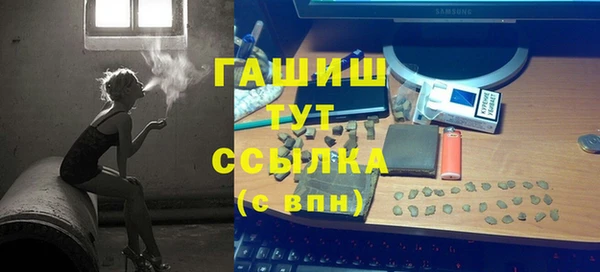 мдпв Рославль