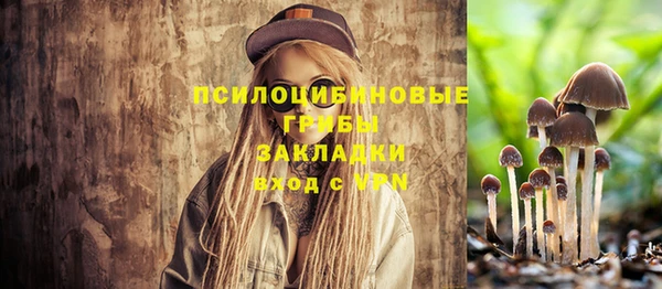 Альфа ПВП Алексеевка