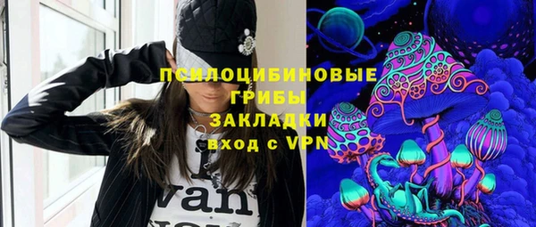 хмурый Алексин