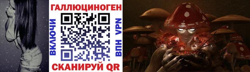маркетплейс Telegram  Курганинск  Галлюциногенные грибы мухоморы 