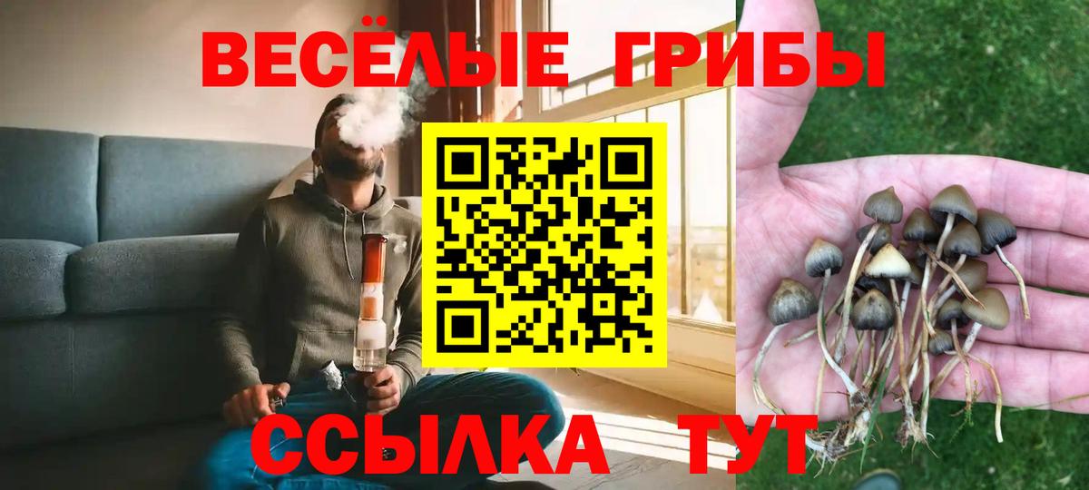 Псилоцибиновые грибы Psilocybe  Вход с VPN  Курганинск  Галлюциногенные грибы ЛСД 